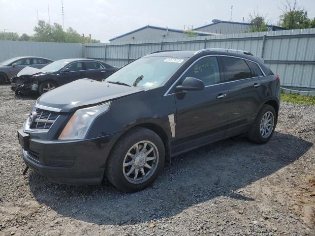 CADILLAC SRX LUXURY 2012 with VIN 3GYFNDE36CS514013 - Photo from auction