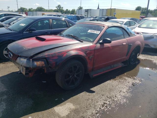 FORD MUSTANG GT 2002 with VIN 1FAFP45X82F240695 - Photo from auction