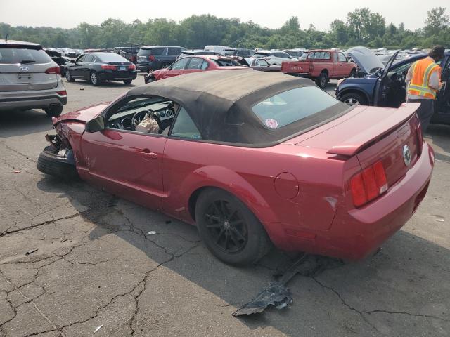 Photo 2 from auction – 2005 FORD MUSTANG with VIN 1ZVFT84N555188933