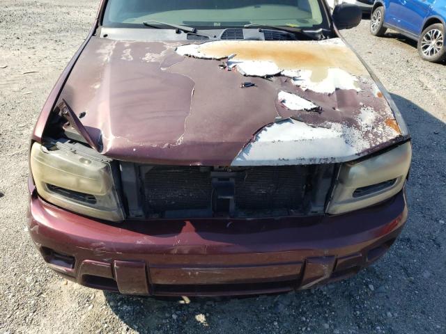 Photo 11 from auction – 2006 CHEVROLET TRAILBLAZE with VIN 1GNDS13S862117117