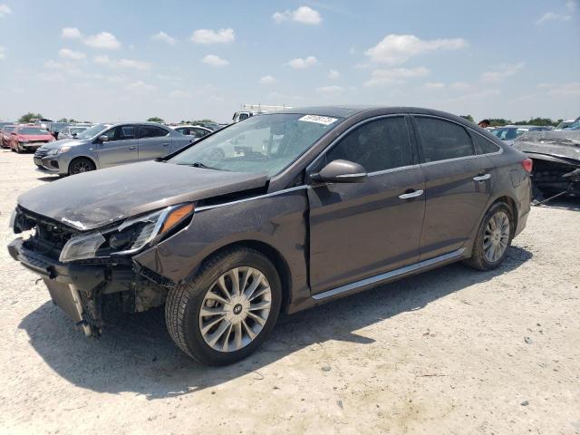 HYUNDAI SONATA SPO 2015 with VIN 5NPE34AF0FH101333 - Photo from auction