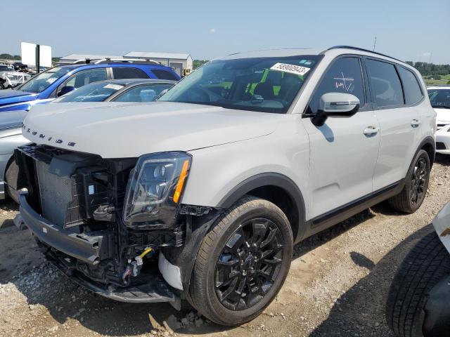 KIA TELLURIDE 2022 with VIN 5XYP3DHC8NG240376 - Photo from auction