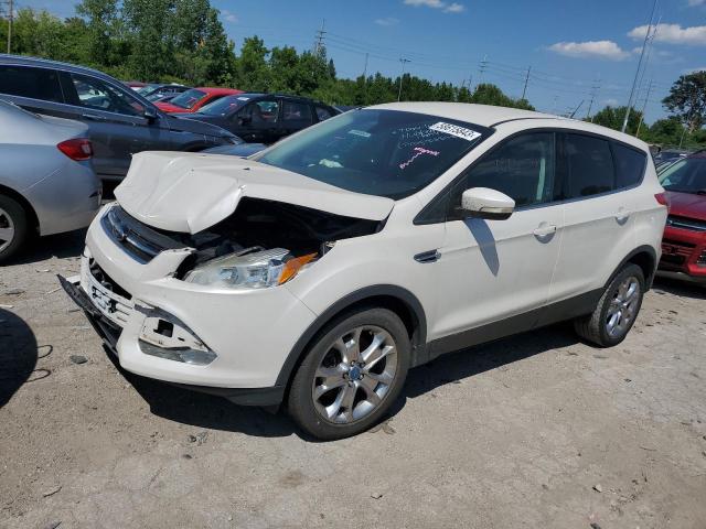 FORD ESCAPE SEL 2013 with VIN 1FMCU0H9XDUC12385 - Photo from auction