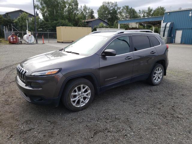 JEEP CHEROKEE L 2014 with VIN 1C4PJLCB9EW139221 - Photo from auction