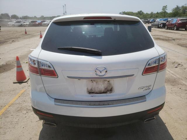 Photo 6 from auction – 2010 MAZDA CX-9 with VIN JM3TB3MA4A0230676