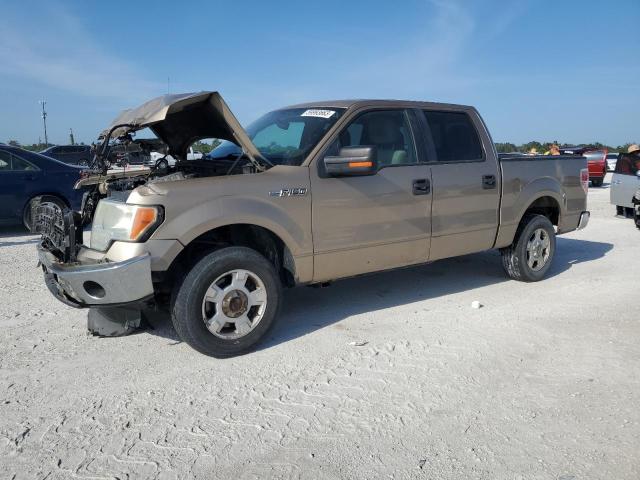 FORD F150 SUPER 2013 with VIN 1FTEW1CM7DKD61700 - Photo from auction