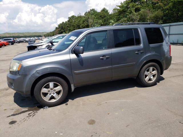 HONDA PILOT EXL 2009 with VIN 5FNYF48619B052401 - Photo from auction
