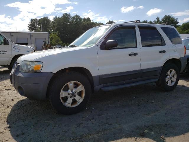 Photo 1 from auction – 2007 FORD ESCAPE XLT with VIN 1FMYU93157KB53158