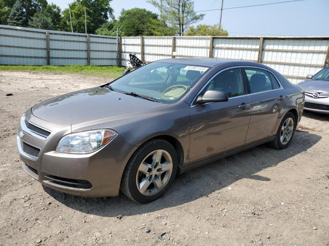CHEVROLET MALIBU LS 2011 with VIN 1G1ZB5E14BF357562 - Photo from auction