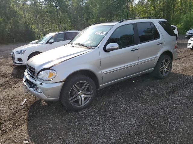 MERCEDES-BENZ ML 500 2002 with VIN 4JGAB75E02A359885 - Photo from auction