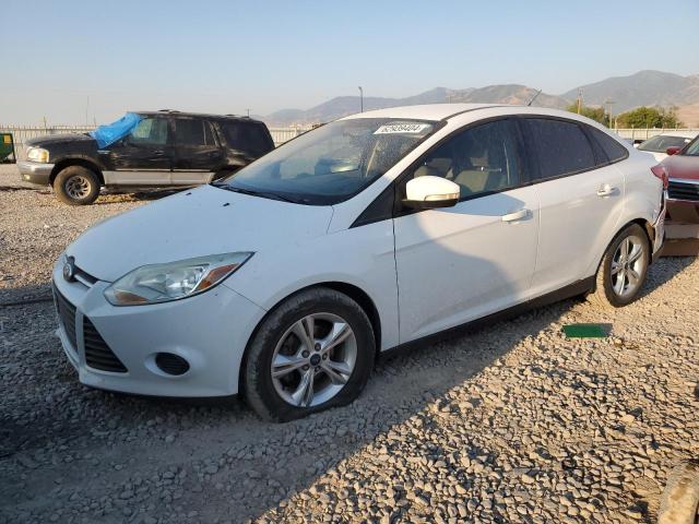 FORD FOCUS SE 2013 with VIN 1FADP3F22DL251989 - Photo from auction
