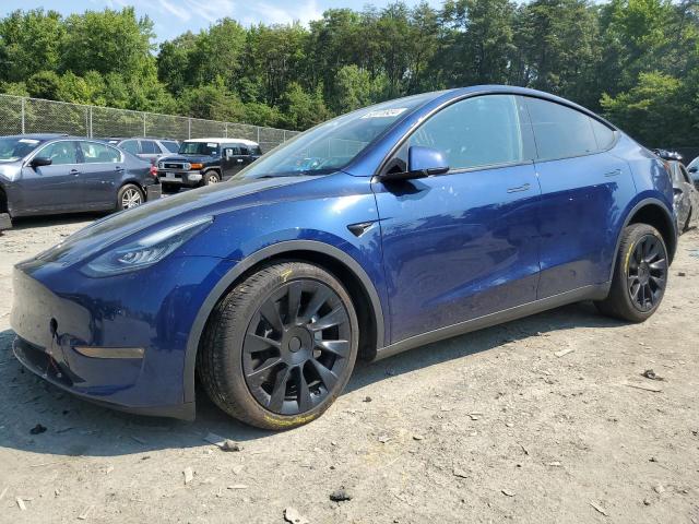 TESLA MODEL Y 2023 with VIN 7SAYGDEE1PA026273 - Photo from auction