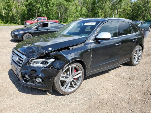 AUDI SQ5 PREMIU 2016 with VIN WA1CCAFP9GA058458 - Photo from auction