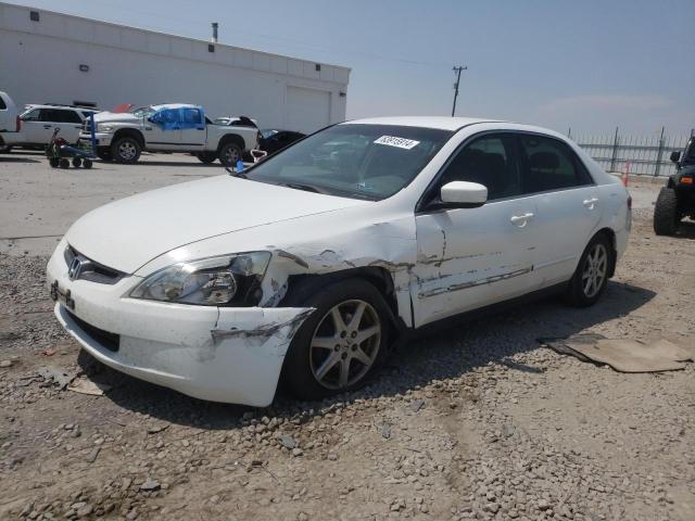 HONDA ACCORD 2003 with VIN 3HGCM56313G704919 - Photo from auction