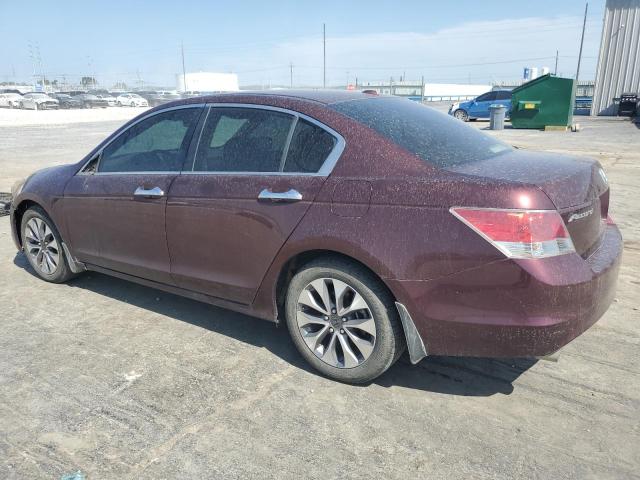 Photo 2 from auction – 2010 HONDA ACCORD EXL with VIN 5KBCP3F85AB017534