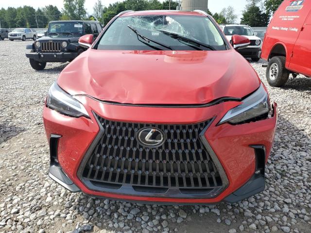 Photo 5 from auction – 2023 LEXUS NX 350 with VIN 2T2AGCEZ2PC030136