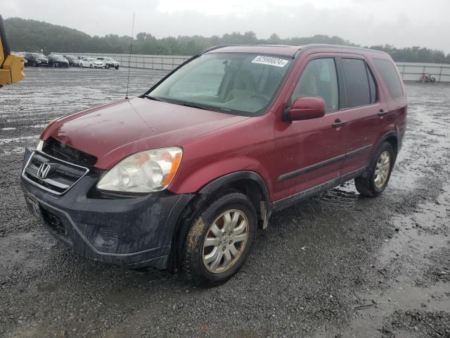 HONDA CR-V EX 2005 with VIN SHSRD78865U331312 - Photo from auction