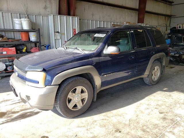 CHEVROLET TRAILBLAZE 2002 with VIN 1GNDT13S022384159 - Photo from auction
