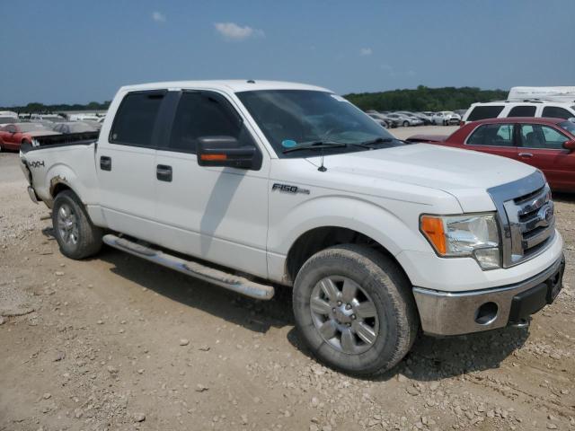 Photo 4 from auction – 2009 FORD F150 SUPER with VIN 1FTPW14V69FA40022