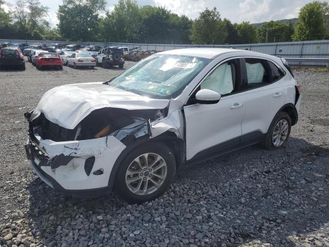 Photo 1 from auction – 2020 FORD ESCAPE SE with VIN 1FMCU0G64LUC65296
