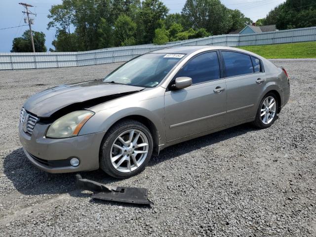 NISSAN MAXIMA SE 2004 with VIN 1N4BA41E34C828979 - Photo from auction
