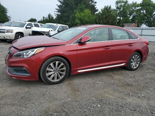 HYUNDAI SONATA SPO 2016 with VIN 5NPE34AF1GH335384 - Photo from auction