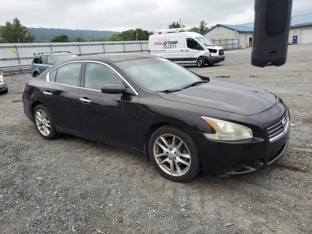 Photo 4 from auction – 2011 NISSAN MAXIMA S with VIN 1N4AA5AP3BC818369