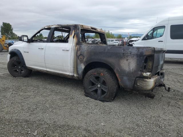 Photo 2 from auction – 2010 DODGE RAM 1500 with VIN 1D7RV1CT5AS169513