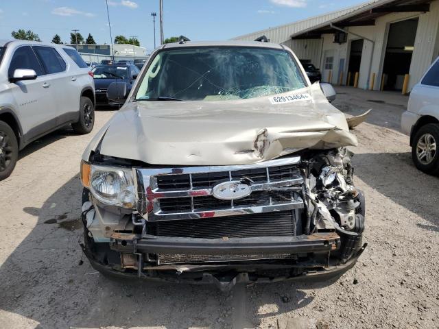 Photo 5 from auction – 2010 FORD ESCAPE XLT with VIN 1FMCU0D75AKA80423