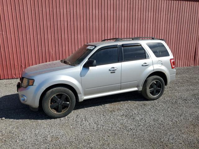 FORD ESCAPE XLT 2010 with VIN 1FMCU0D71AKC57663 - Photo from auction