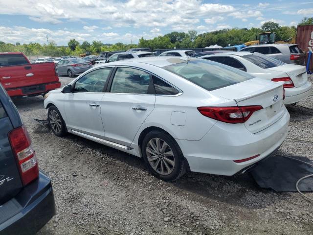 Photo 2 from auction – 2016 HYUNDAI SONATA SPO with VIN 5NPE34AF5GH367190
