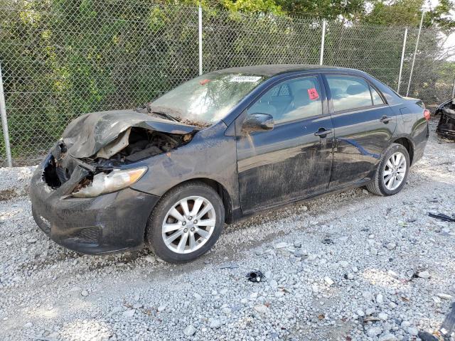 TOYOTA COROLLA BA 2010 with VIN 1NXBU4EEXAZ317850 - Photo from auction