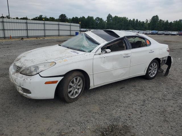 LEXUS ES 330 2004 with VIN JTHBA30GX40011077 - Photo from auction