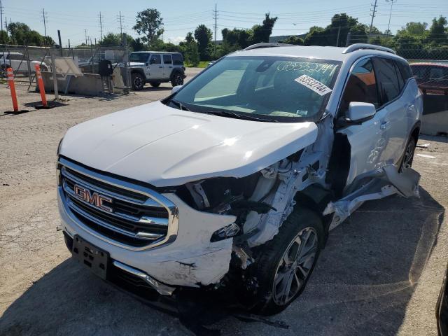 GMC TERRAIN SL 2021 with VIN 3GKALPEV9ML338115 - Photo from auction
