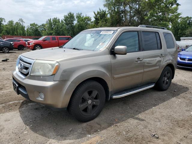 HONDA PILOT EXL 2011 with VIN 5FNYF4H65BB082541 - Photo from auction