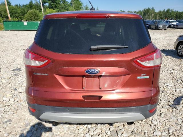 Photo 6 from auction – 2014 FORD ESCAPE SE with VIN 1FMCU0GXXEUB81477