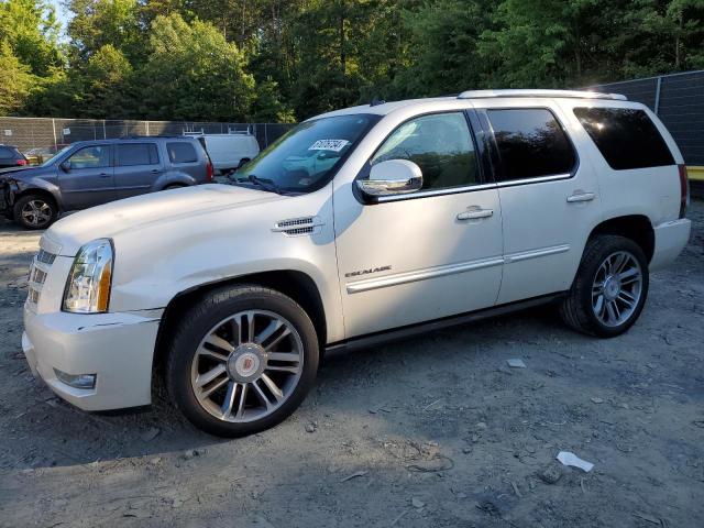 CADILLAC ESCALADE P 2013 with VIN 1GYS4CEF5DR336363 - Photo from auction