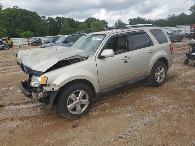 FORD ESCAPE LIM 2011 with VIN 1FMCU0EG5BKC29476 - Photo from auction