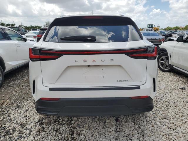 Photo 6 from auction – 2022 LEXUS NX 250 with VIN 2T2ADCAZ9NC001423
