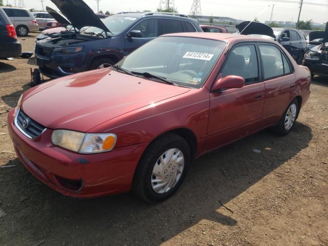 TOYOTA COROLLA CE 2001 with VIN 1NXBR12E51Z498117 - Photo from auction