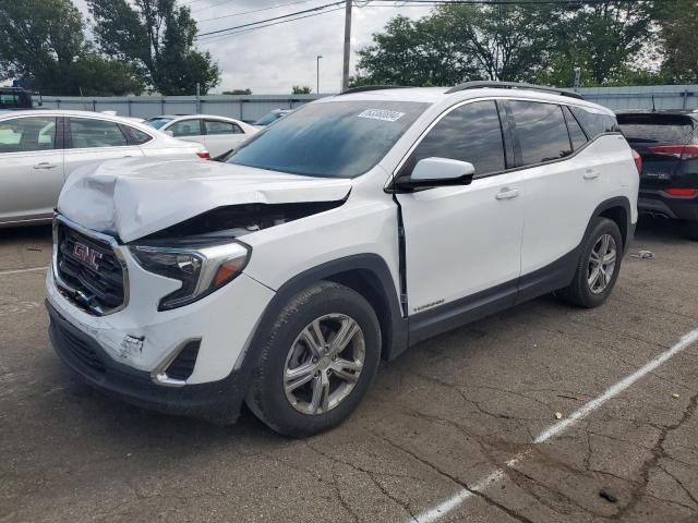 GMC TERRAIN 2019 with VIN 3GKALMEV0KL358152 - Photo from auction
