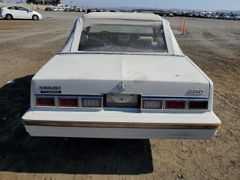 Photo 6 from auction – 1983 DODGE 400 with VIN 1B3BV55C8DG168980