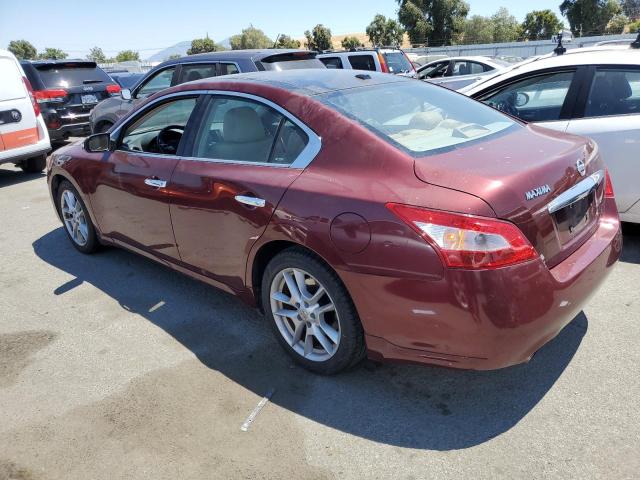 Photo 2 from auction – 2010 NISSAN MAXIMA with VIN 1N4AA5AP2AC867643