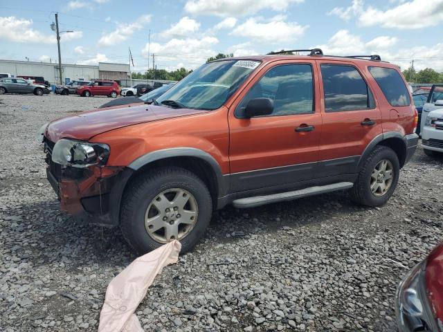 Photo 1 from auction – 2006 FORD ESCAPE XLT with VIN 1FMCU93136KC26312