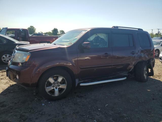 HONDA PILOT EX 2009 with VIN 5FNYF48489B005803 - Photo from auction