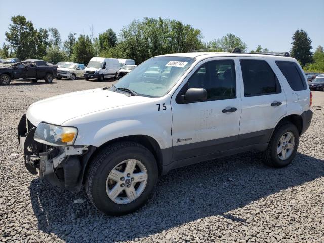 FORD ESCAPE 2006 with VIN 1FMYU95H86KC95920 - Photo from auction