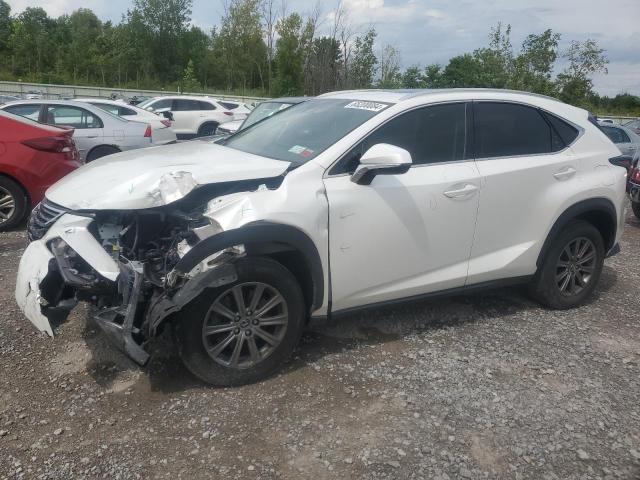LEXUS NX 300 BAS 2019 with VIN JTJBARBZXK2180789 - Photo from auction