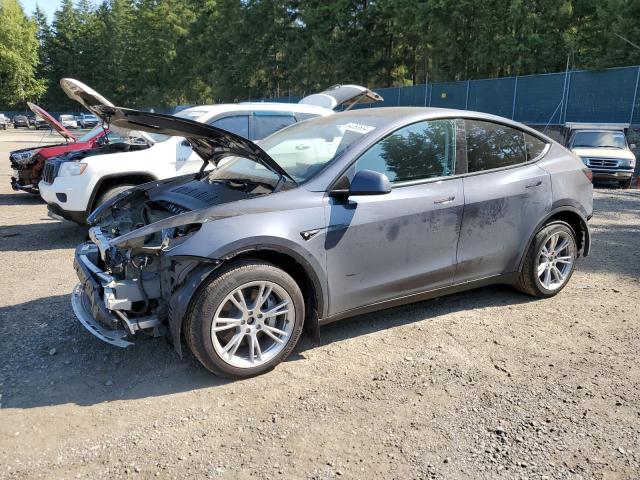 TESLA MODEL Y 2023 with VIN 7SAYGDEE0PF966616 - Photo from auction
