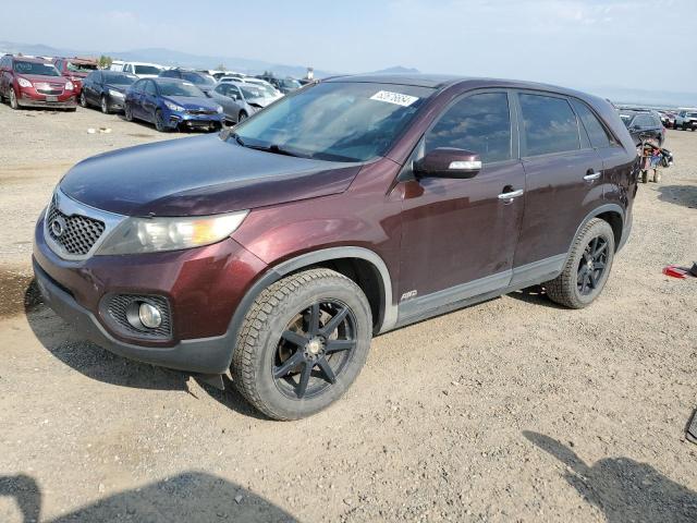 Photo 1 from auction – 2011 KIA SORENTO EX with VIN 5XYKUDA29BG031104