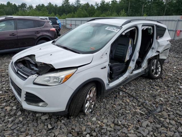FORD ESCAPE SE 2014 with VIN 1FMCU9GX4EUB31081 - Photo from auction